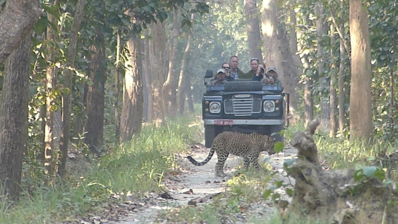 Tiger Tops Karnali Lodge Bardiya Zewnętrze zdjęcie
