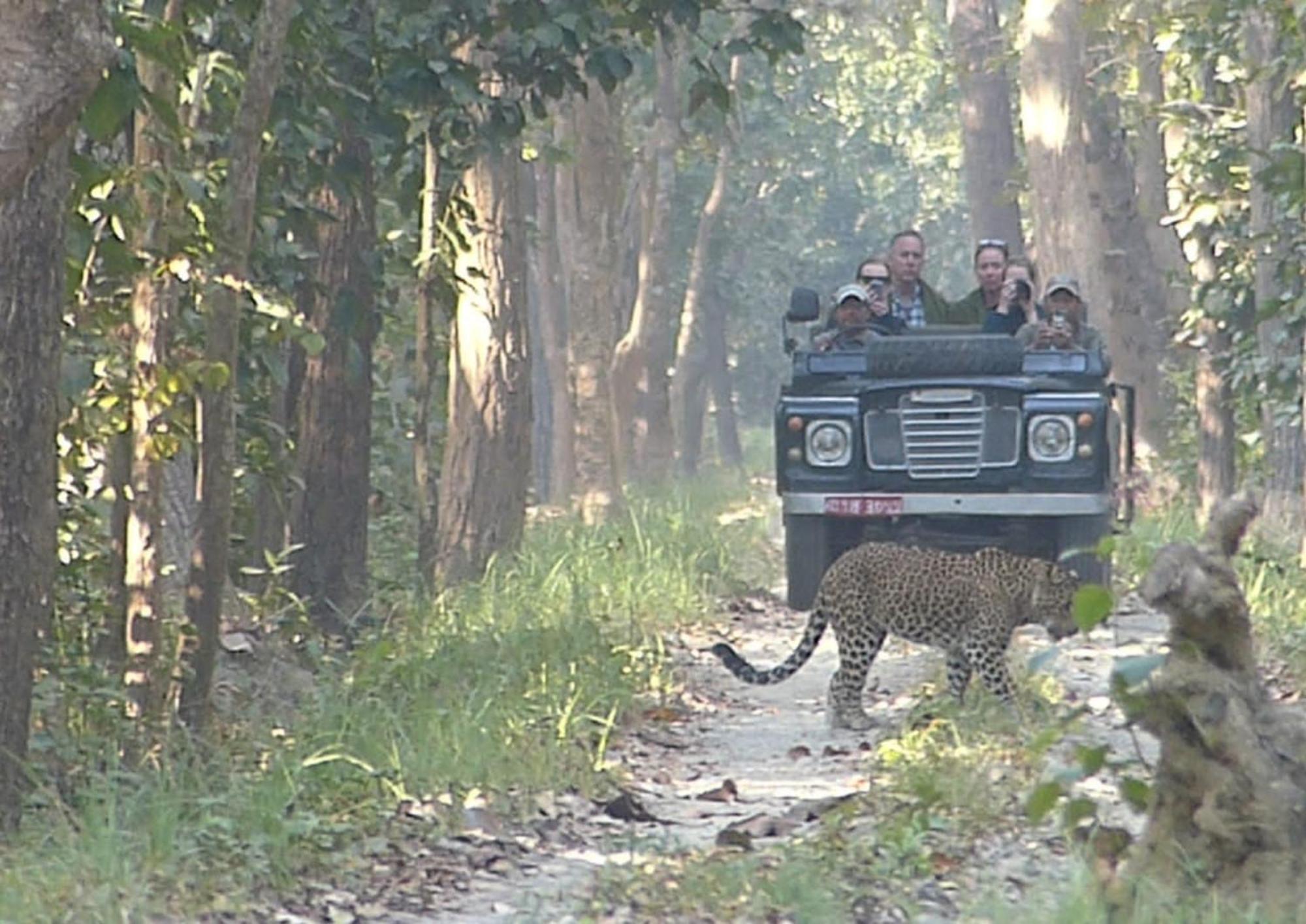 Tiger Tops Karnali Lodge Bardiya Zewnętrze zdjęcie