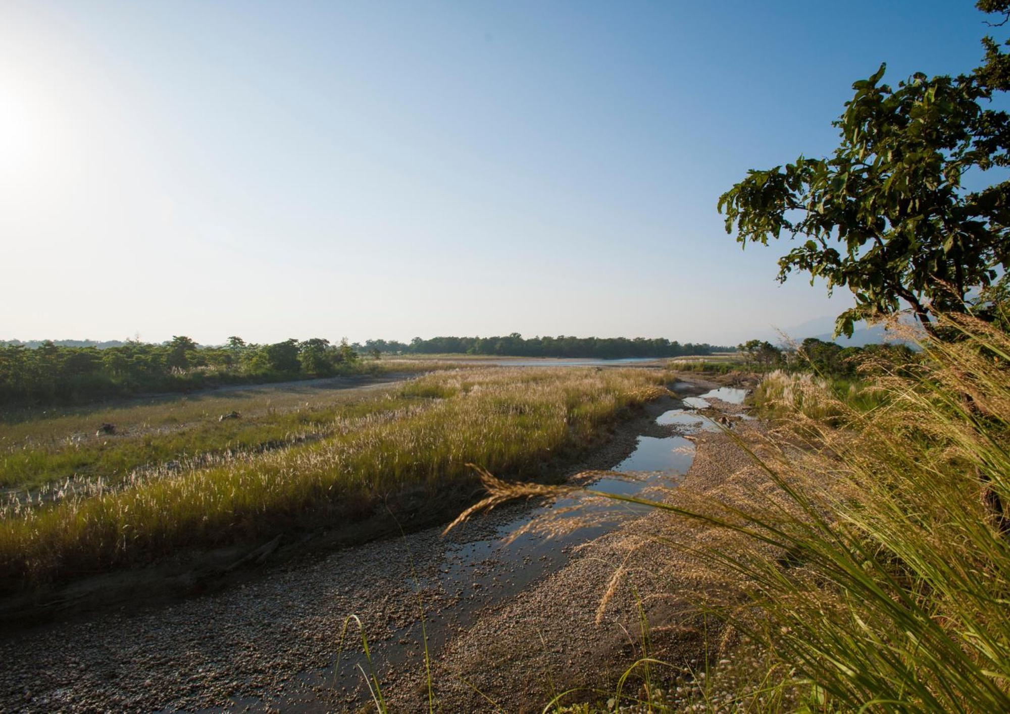 Tiger Tops Karnali Lodge Bardiya Zewnętrze zdjęcie